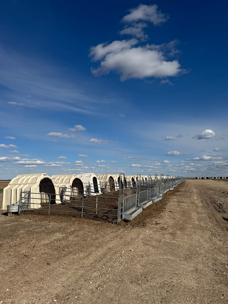 #DD2488 - Agriplastics and Calf-Tel Super Hutches and Fencing- TX